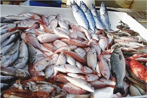 Vis-voedselallergie
