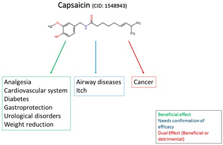 capsaïcine-en-ziekten