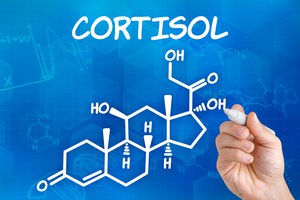 cortisol-stress-en-gewichtsverlies