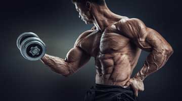 Is het mogelijk om gemakkelijk spieren op te bouwen?