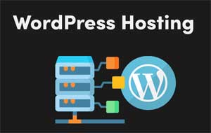 Gespecialiseerde WordPress Hosting